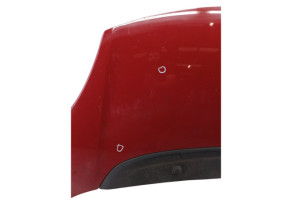 Capot FIAT 500L Photo n°3