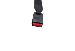 Attache ceinture arriere gauche PEUGEOT 206 Photo n°1