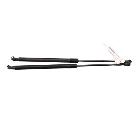 Verin de coffre NISSAN QASHQAI 1