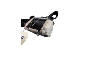 Ceinture arriere droit FORD FOCUS 3 Photo n°2