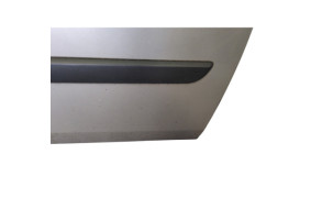 Porte avant droit RENAULT SCENIC 2 Photo n°7
