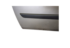 Porte avant gauche RENAULT SCENIC 2 Photo n°4