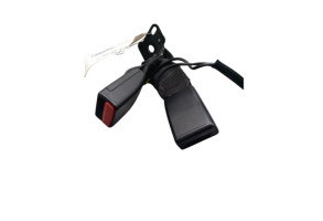 Attache ceinture arriere gauche RENAULT ZOE 2 Photo n°2