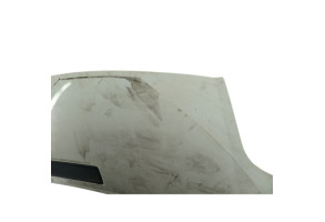 Capot RENAULT TRAFIC 2 Photo n°4