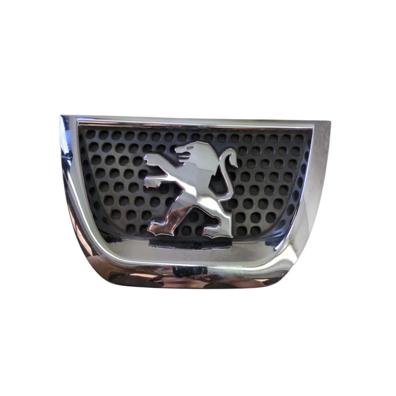Calandre PEUGEOT 3008 1 Photo n°1