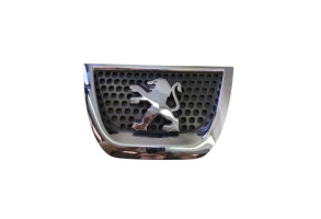 Calandre PEUGEOT 3008 1 Photo n°1