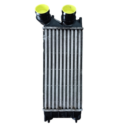 Echangeur air (Intercooler) PEUGEOT 3008 1
