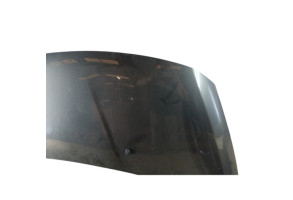Capot PEUGEOT 3008 1 Photo n°4