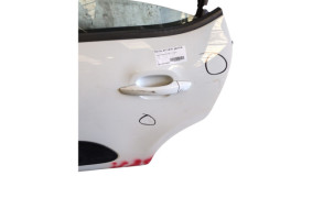 Porte avant gauche RENAULT MEGANE 3 Photo n°7
