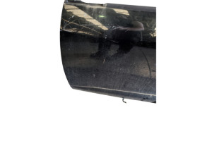 Porte avant gauche RENAULT MEGANE 3 Photo n°13