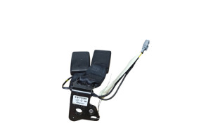 Attache ceinture arriere gauche RENAULT ZOE 1 Photo n°1