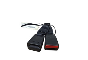 Attache ceinture arriere gauche RENAULT ZOE 1 Photo n°3