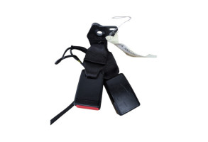 Attache ceinture arriere gauche RENAULT ZOE 2 Photo n°2