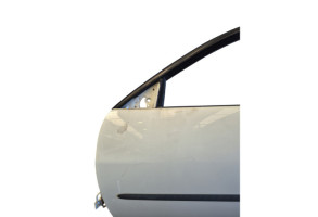 Porte avant gauche SEAT IBIZA 3 Photo n°8