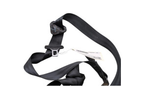 Ceinture arriere gauche RENAULT ZOE 1 Photo n°2