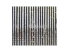 Radiateur eau LAND ROVER RANGE ROVER 1 SPORT Photo n°10