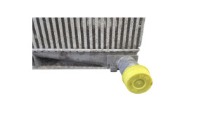 Radiateur eau LAND ROVER RANGE ROVER 1 SPORT Photo n°12