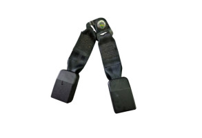 Attache ceinture arriere gauche DACIA SANDERO 1 Photo n°3