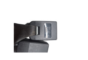 Attache ceinture arriere gauche NISSAN QASHQAI 1 Photo n°2