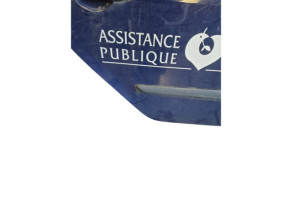 Porte arriere droit RENAULT MODUS Photo n°5