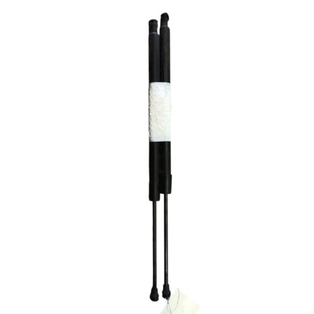 Verin de coffre RENAULT MODUS