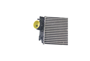 Echangeur air (Intercooler) RENAULT MEGANE 4 Photo n°7