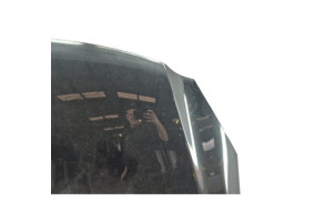 Capot OPEL INSIGNIA 1 Photo n°5