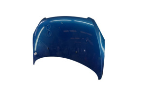 Capot PEUGEOT 307 Photo n°6