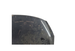 Capot PEUGEOT 206+ Photo n°4