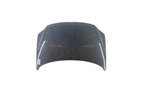 Capot VOLKSWAGEN FOX Photo n°1