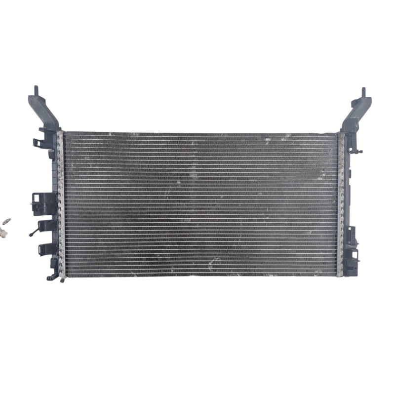 Radiateur eau RENAULT LAGUNA 3 Photo n°1
