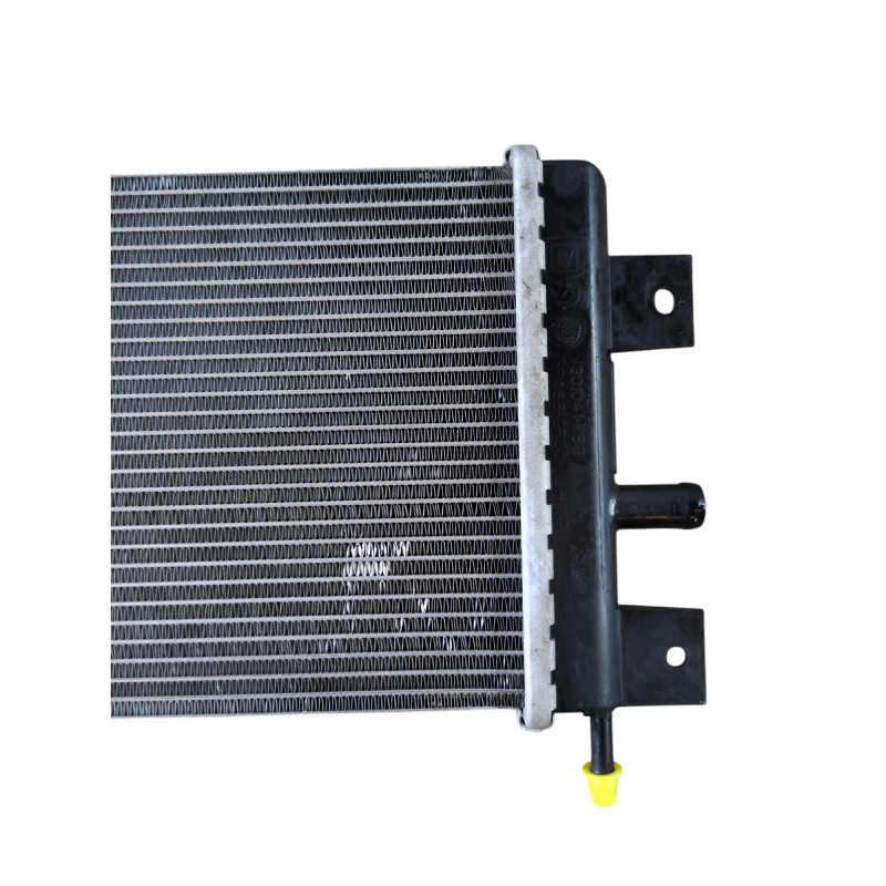Radiateur eau DACIA SPRING Photo n°1