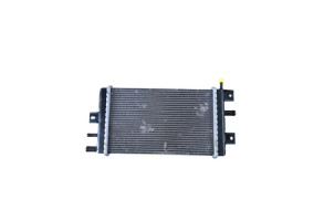 Radiateur eau DACIA SPRING Photo n°3