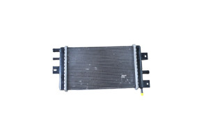 Radiateur eau DACIA SPRING Photo n°6