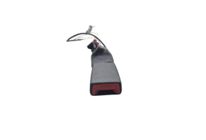 Attache ceinture arriere gauche DACIA SPRING Photo n°2