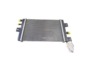 Radiateur eau DACIA SPRING Photo n°1