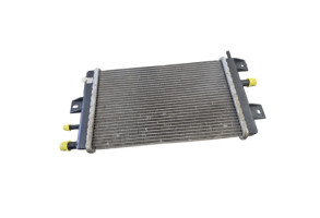 Radiateur eau DACIA SPRING Photo n°2