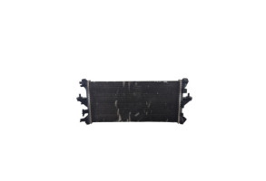 Radiateur eau FIAT DUCATO 3 Photo n°1