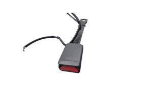 Attache ceinture avant droit NISSAN JUKE 1 Photo n°3