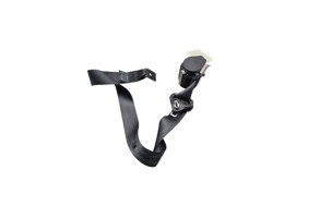 Ceinture arriere gauche RENAULT SCENIC 3 Photo n°1