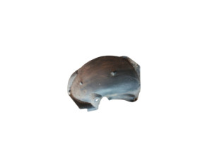 Pare boue avant gauche RENAULT CLIO 3 Photo n°6