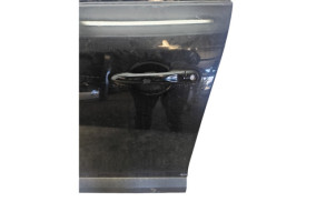 Porte avant gauche RENAULT MEGANE 3 Photo n°3