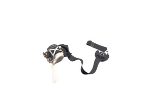 Ceinture avant droit CITROEN DS3 Photo n°2
