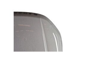 Capot LAND ROVER RANGE ROVER 1 EVOQUE Photo n°5