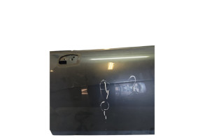 Porte avant gauche PEUGEOT 308 1 Photo n°1