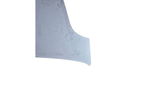 Capot RENAULT TRAFIC 2 Photo n°3