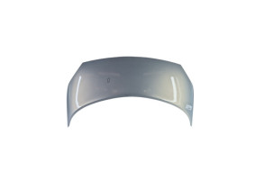 Capot RENAULT SCENIC 2 Photo n°1