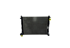 Radiateur eau RENAULT CLIO 5 Photo n°1