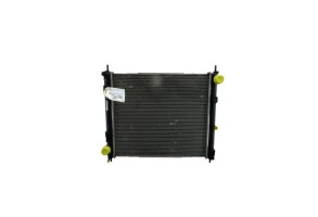 Radiateur eau NISSAN JUKE 1 Photo n°2