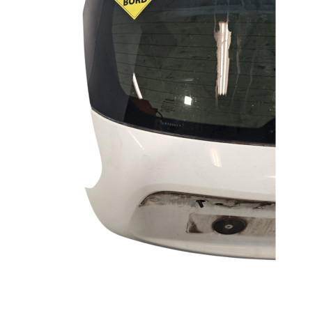Malle/Hayon arriere NISSAN JUKE 1